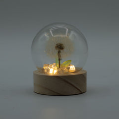 Floral Glow Garden Dome - 1 Dandilion- LED Battery product image 3