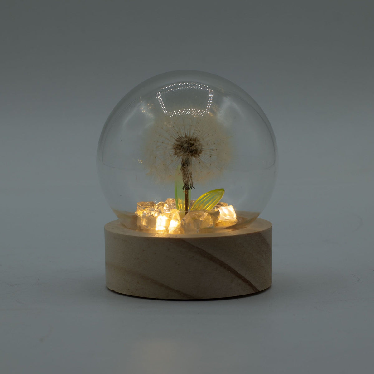 Floral Glow Garden Dome - 1 Dandilion- LED Battery product image 3