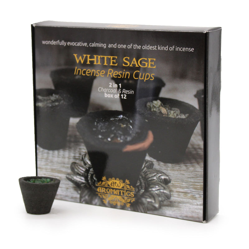 Box of 12 Resin Cups - White Sage product image