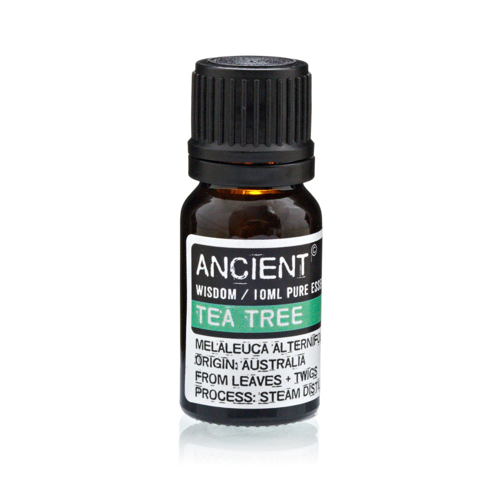 Set of Lavender, Tea Tree & Rosemary Essential Oils - 10ml Each product image 3