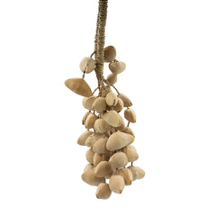 Kenari Shell Long Rattle (50 Shells) product image 2