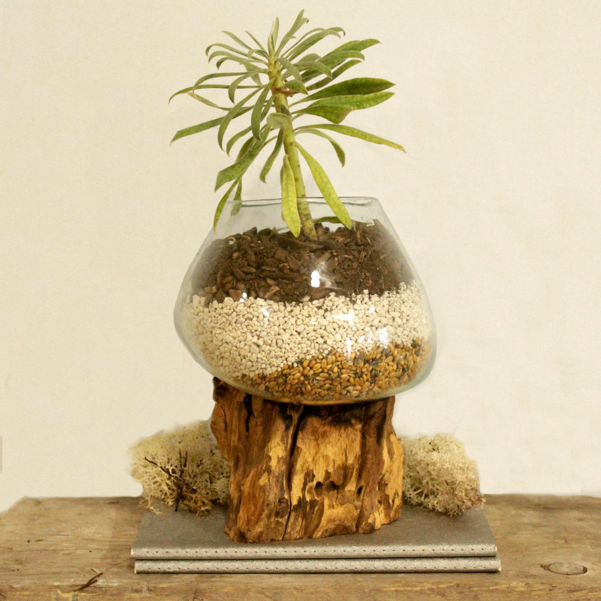 Molten Glass on Wood - Large Bowl product image 2