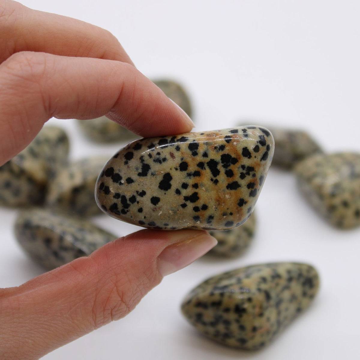 XL Tumble Stones - Dalmation Stone - product image 2