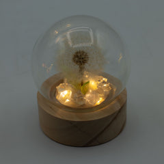 Floral Glow Garden Dome - 1 Dandilion- LED Battery product image 4