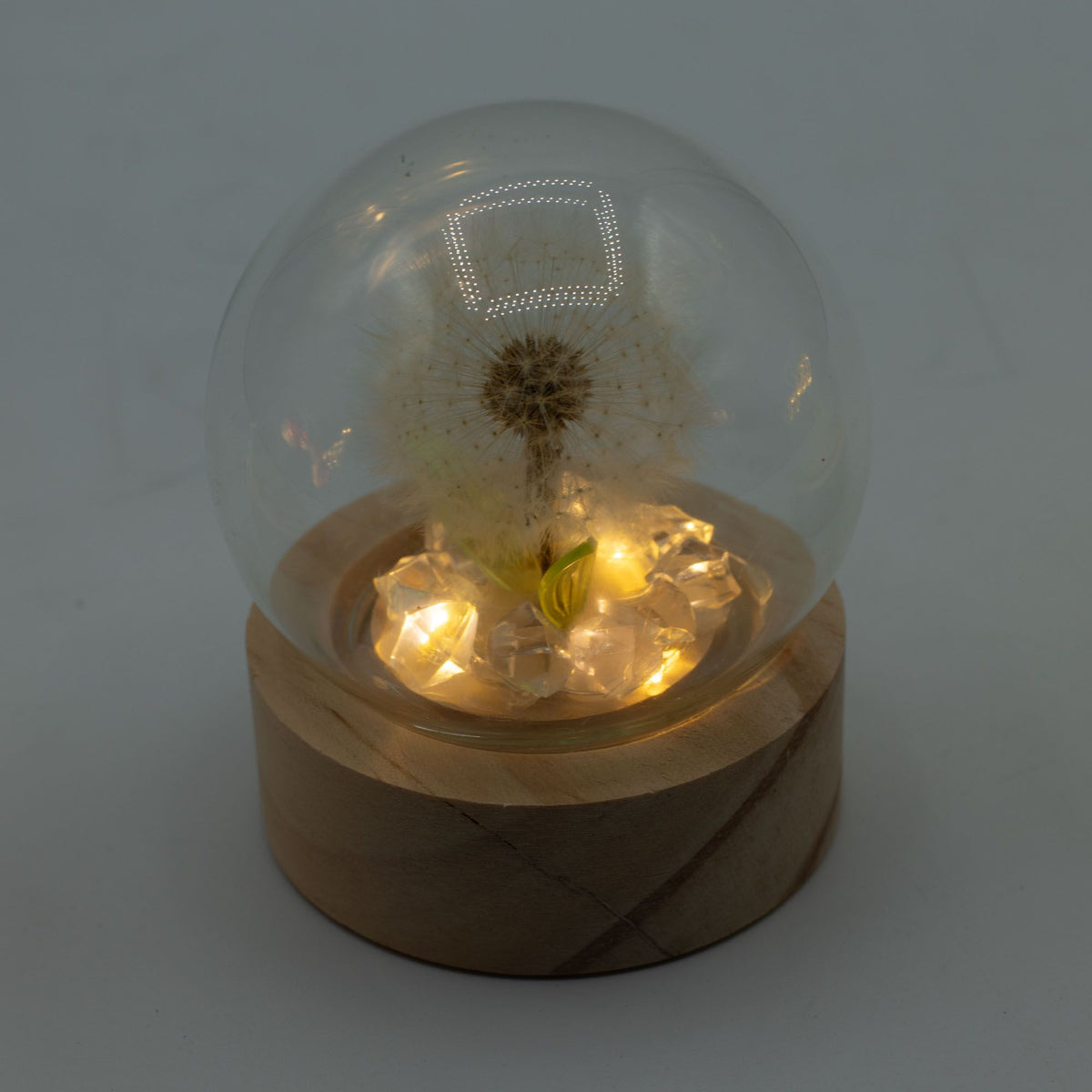 Floral Glow Garden Dome - 1 Dandilion- LED Battery product image 4
