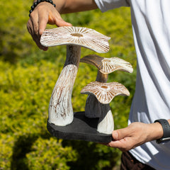 Medium Golden Mushroom Art - 25cm - Whitewash product image 3