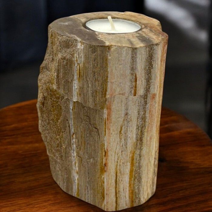 Petrified Wood Candle Holder - Single Tall product image