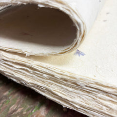 A4 - Lokta Craft Paper (20 sheet pack) - Marigold product image 3