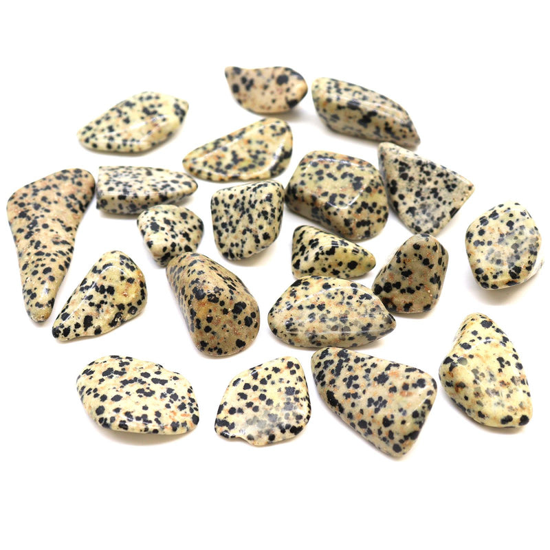 L Tumble Stones - Dalmation Stone product image