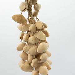 Kenari Shell Long Rattle (50 Shells) product image 3