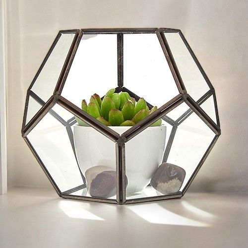 Glass Terrarium - Large Octagon product image