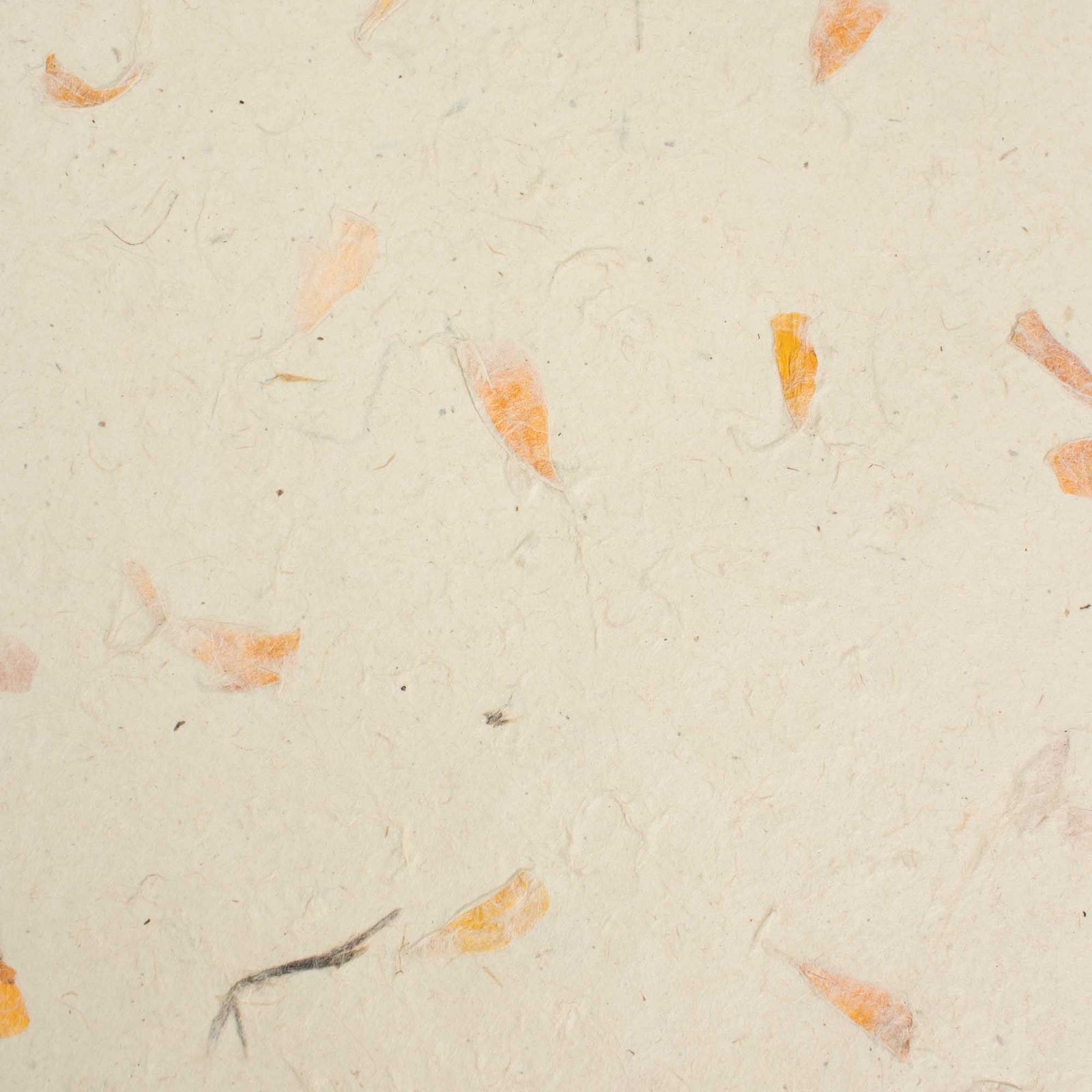 A4 - Lokta Craft Paper (20 sheet pack) - Marigold product image