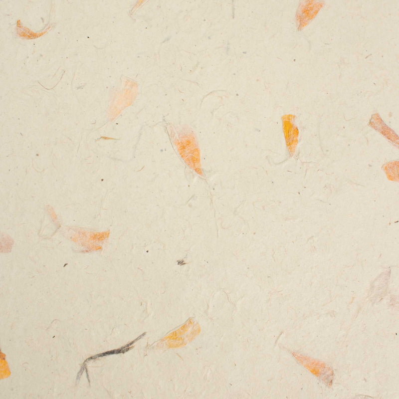 A4 - Lokta Craft Paper (20 sheet pack) - Marigold product image