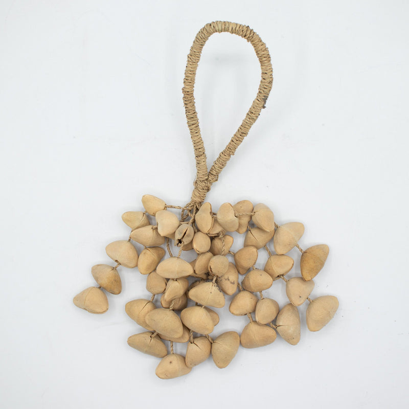Kenari Shell Long Rattle (50 Shells) product image