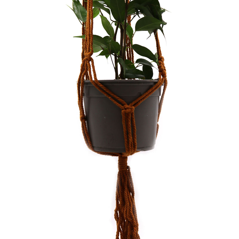 Macrame Pot Holder Classic - Chocolate Med Pot product image