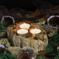 Petrified Wood Candle Holder - Triple product image 5