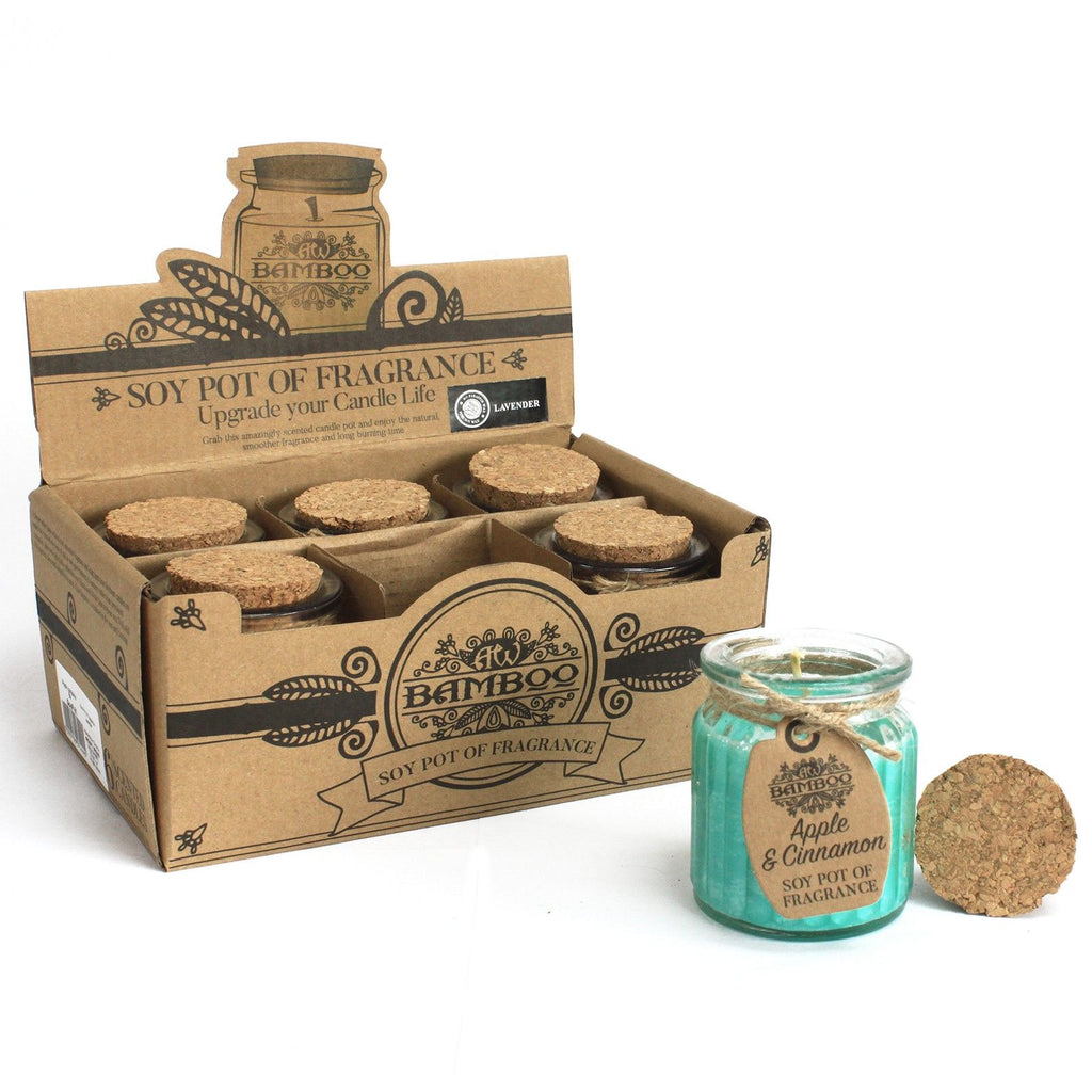 Apple & Cinnamon Soy Pot of Fragrance Candles product image 3