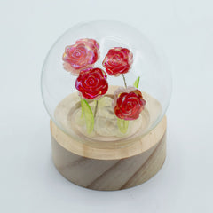 Floral Glow Garden Dome - 5 Red Roses - LED Battery product image