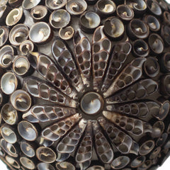 Boho Sea Shell Lamp - Chocolate Twist Square - 15cm product image 3