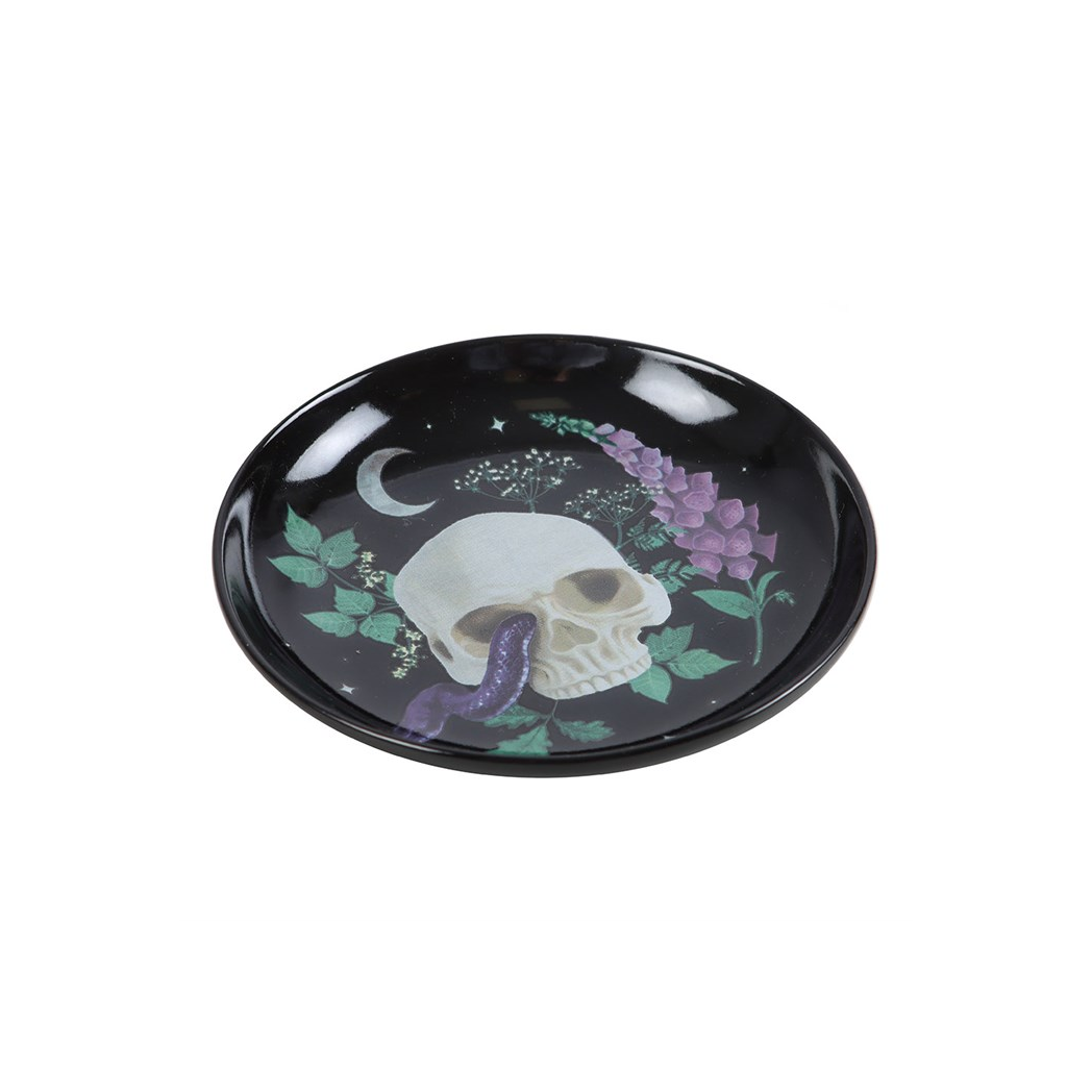 Venom & Vines Skull Trinket Dish - product image 4
