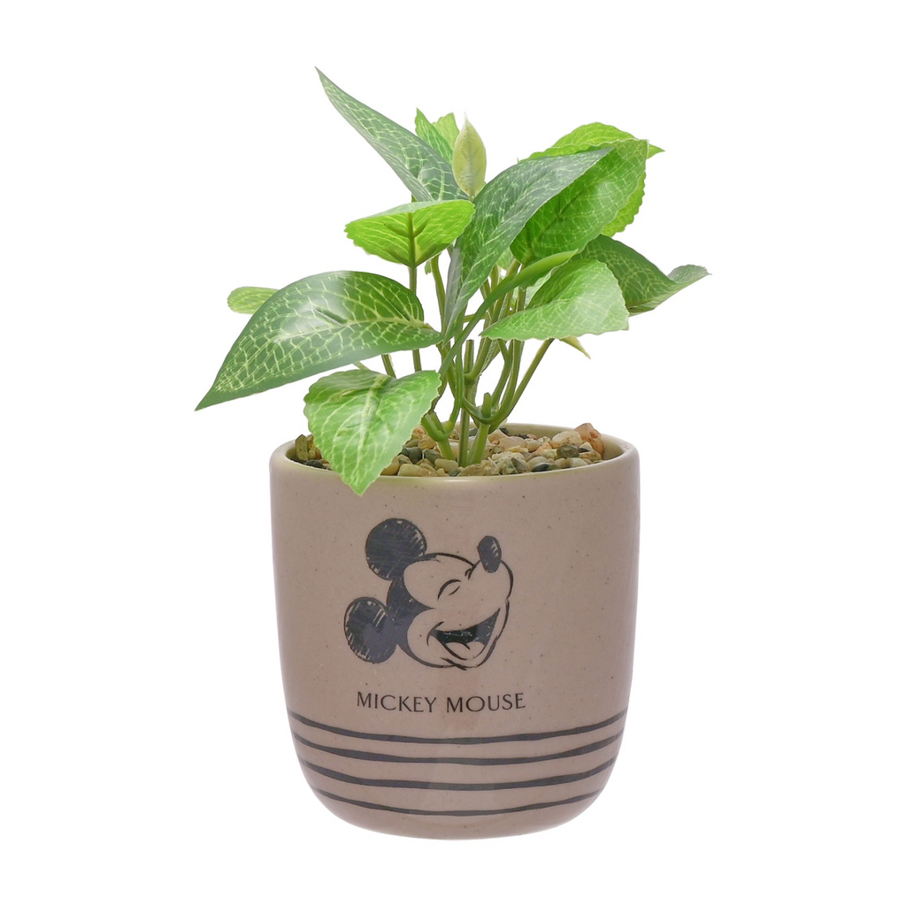 Disney Mickey Planter – product view 1