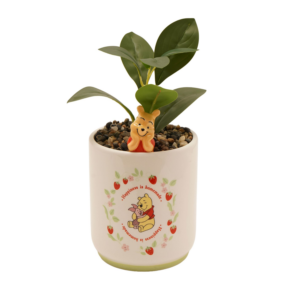 Disney Winnie Planter with 3D Winnie – product view 1